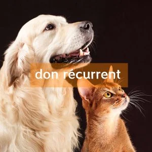 Faire un don récurrent
