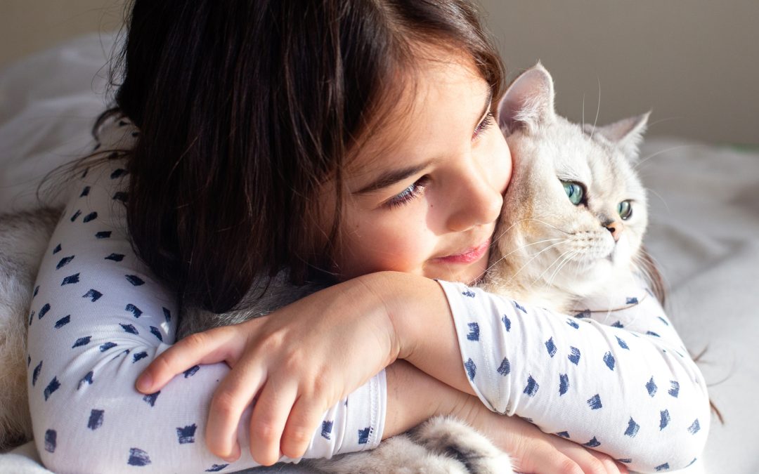 Cohabitation chat et chien