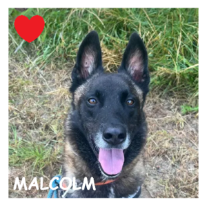 MALCOLM 92840