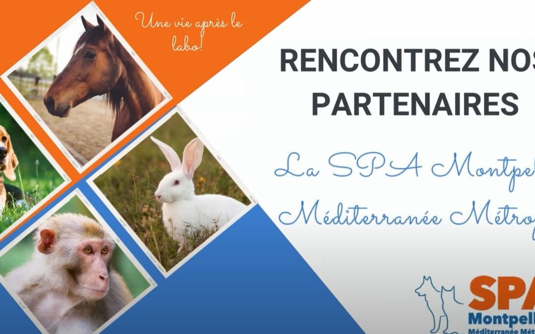 LA SPA DE MONTPELLIER : UN FIDELE PARTENAIRE DU GRAAL