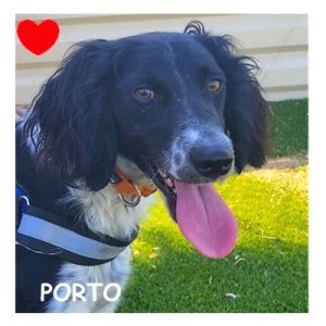 PORTO 95231