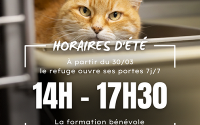 LA SPA MMM PASSE A L&rsquo;HEURE D&rsquo;ETE