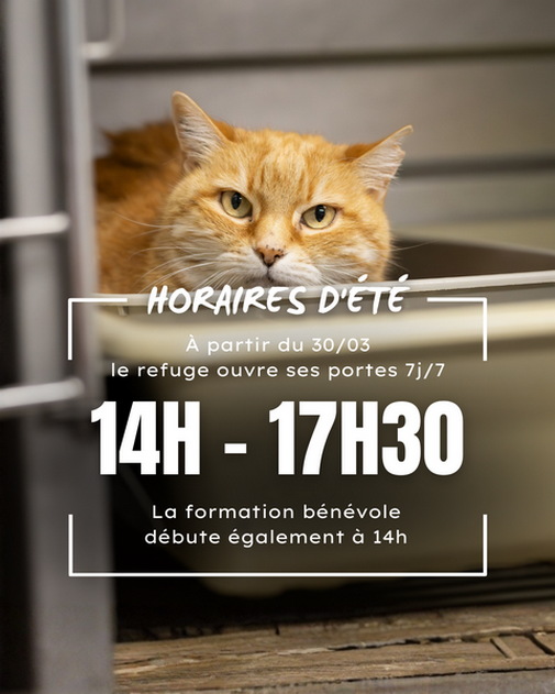 LA SPA MMM PASSE A L&rsquo;HEURE D&rsquo;ETE