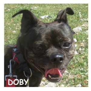 DOBY 96475