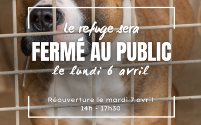LUNDI 6 MAI FERIE – LA SPAMMM FERMEE