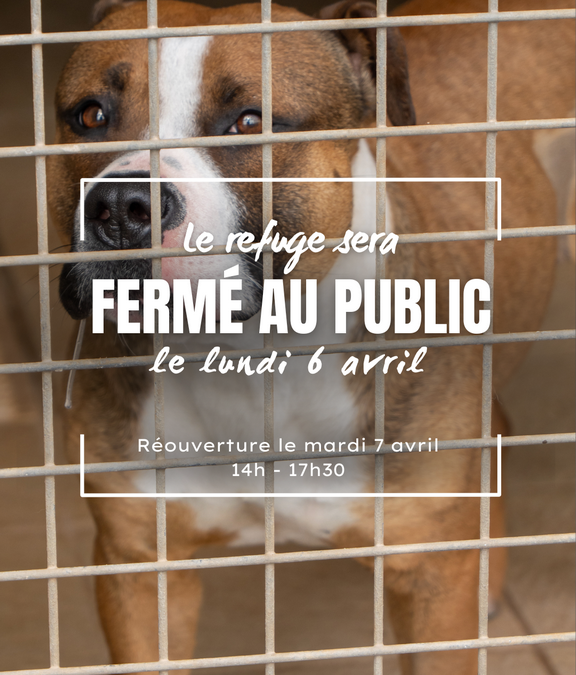 LUNDI 6 MAI FERIE – LA SPAMMM FERMEE