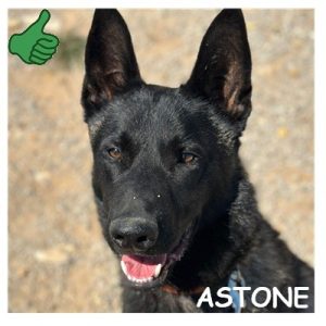 ASTONE 96218