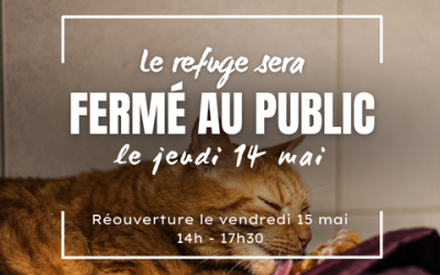 14 Mai 2026 – FERIE         la SPA MMM est FERMEE