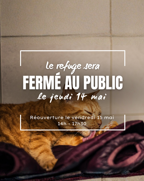 férié 14 mai r