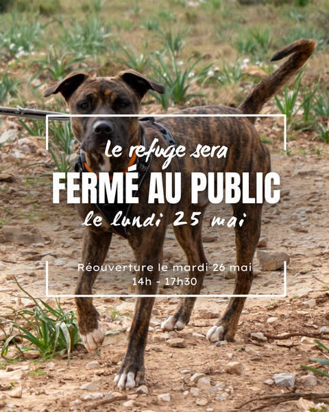 férié 25 mai r