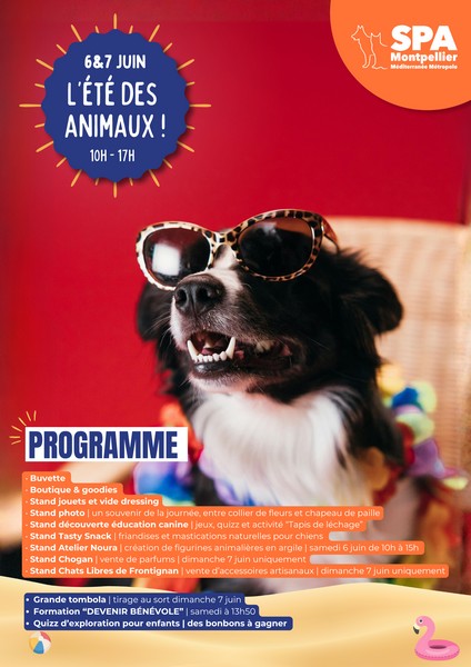 programme ETE r