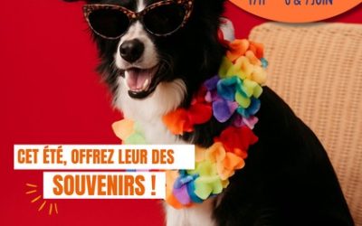 PARTICIPEZ A NOTRE TOMBOLA !