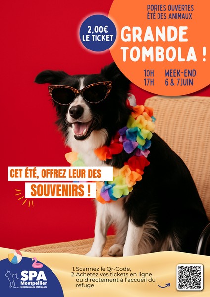 tombola tombola