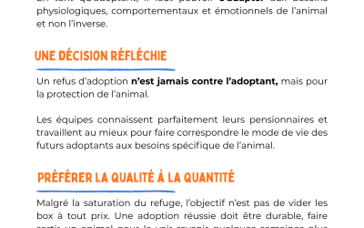 L’ADOPTION