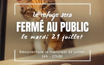21 juillet travaux devant le refuge – SPA FERMEE