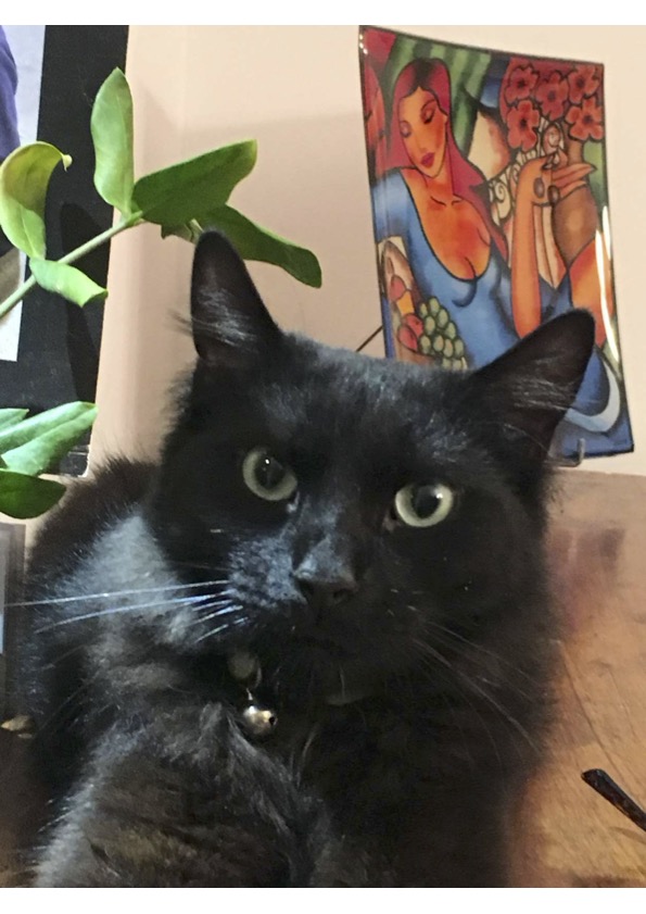Stanley-1.jpg