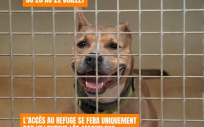 TRAVAUX VOIRIE VENIR AU REFUGE
