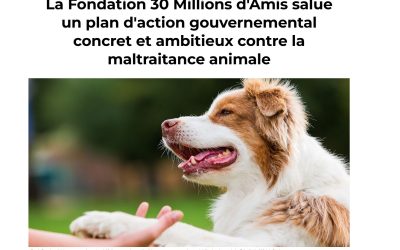 prevenir et santionner la maltraitance animale