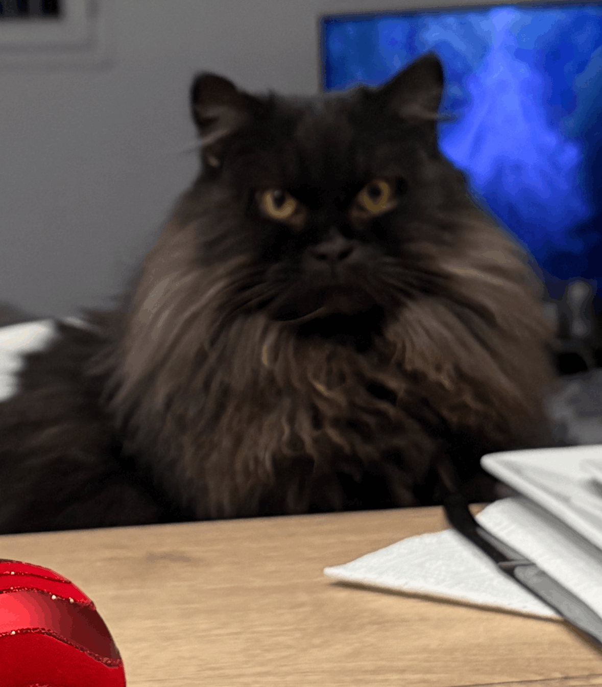 IMG_6883-1.png