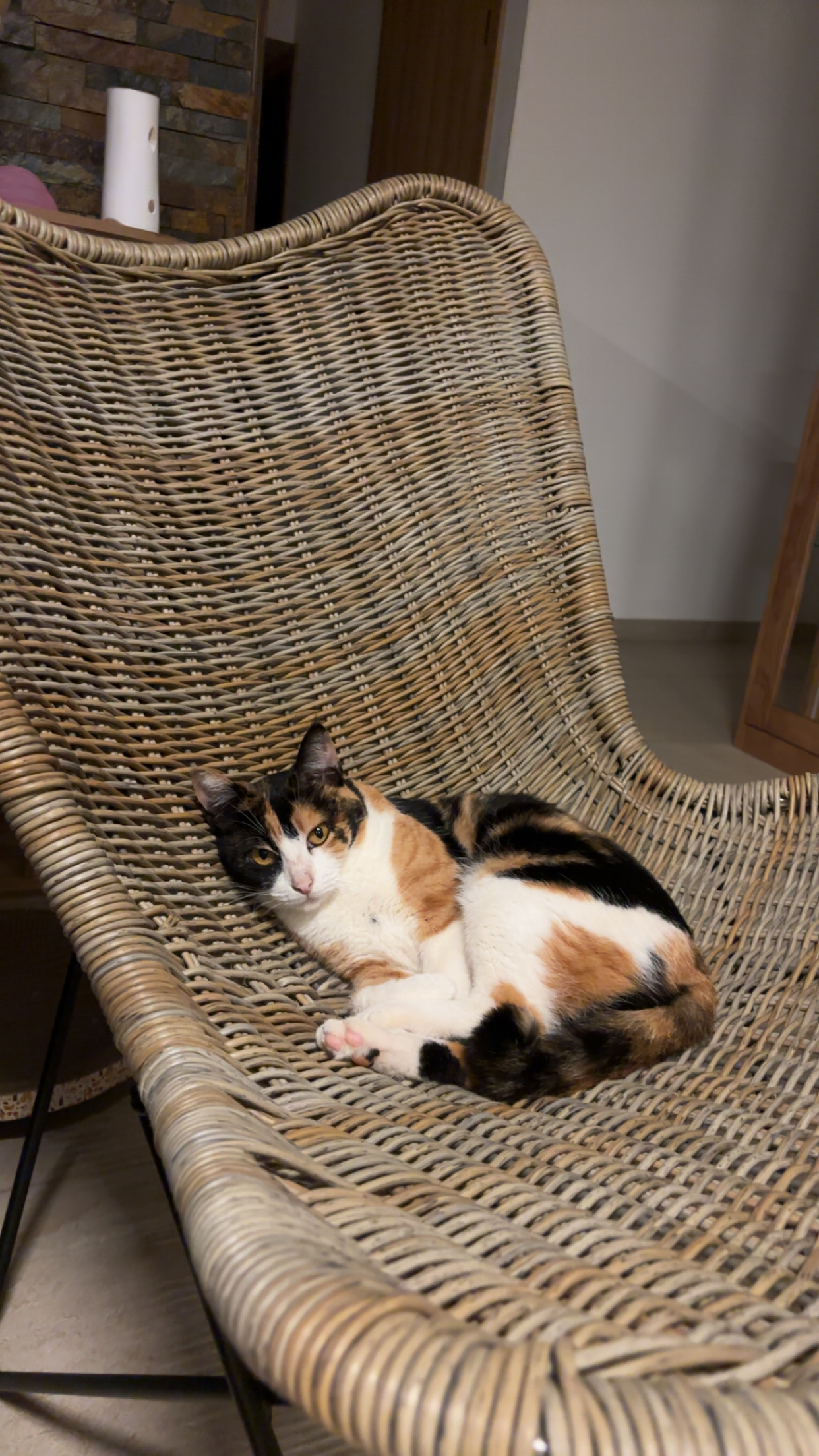 IMG_9270-1.jpeg