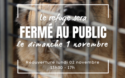 1er NOVEMBRE FERIE LA SPA MMM EST FERMEE