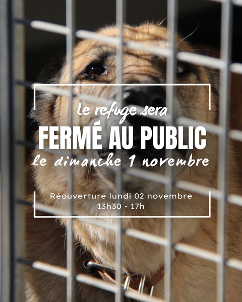 1 NOVEMBRE r 1 NOVEMBRE r